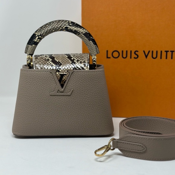 Louis Vuitton Exotic Capucine Mini Phyton Snake Leather New - Picture 2 of 13